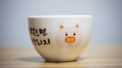 🍚 소식밥그릇 후기! 다이어트 성공 & 할인 꿀팁 대방출! 🎉