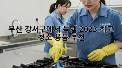 부산 강서구에서 득템! 2023 최고 청소 용품 추천